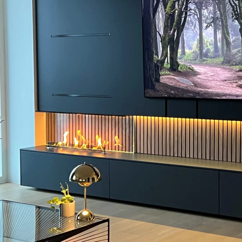 Zero Emission F3 Fireplace Insert