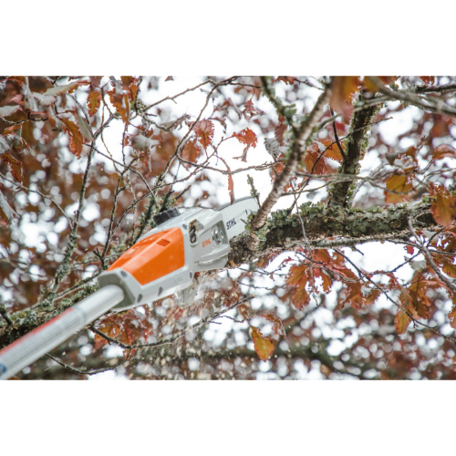 Stihl - AK - Battery Pole Pruner